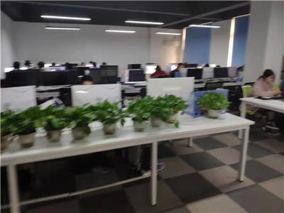 重慶企業(yè)軟件開發(fā)與保健項目合作 價格策略與批發(fā)模式探討