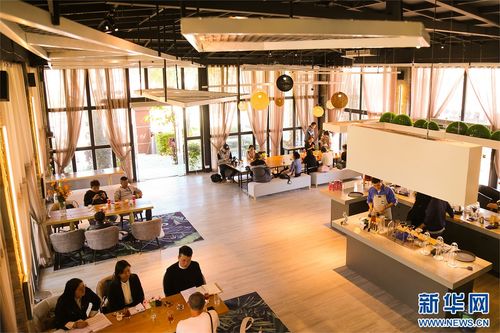 滇西新景致 保山咖啡莊園創新模式，引領農文旅融合新浪潮