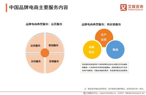 2023年中國(guó)品牌電商服務(wù)行業(yè)研究報(bào)告 信息咨詢服務(wù)解析