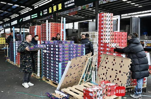 車厘子成年貨 頂流 蒜臺批發價回落 探訪西南最大農產品批發交易市場 新春走基層